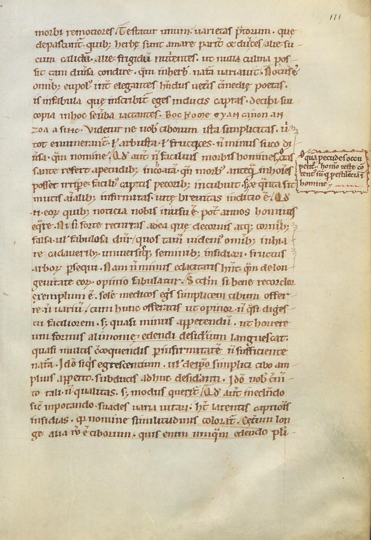 Manuscrit-Saturnales-111r°