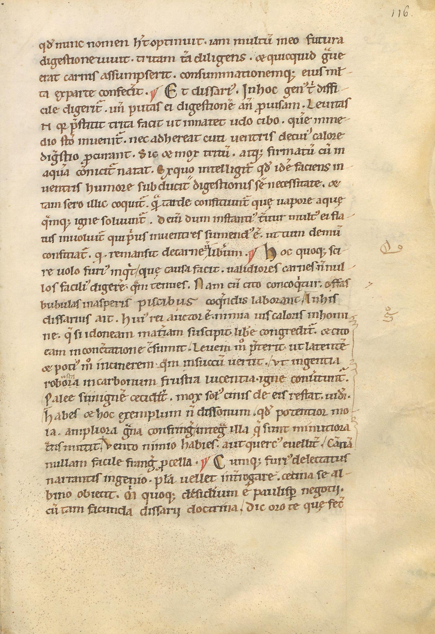 Manuscrit-Saturnales-116r°