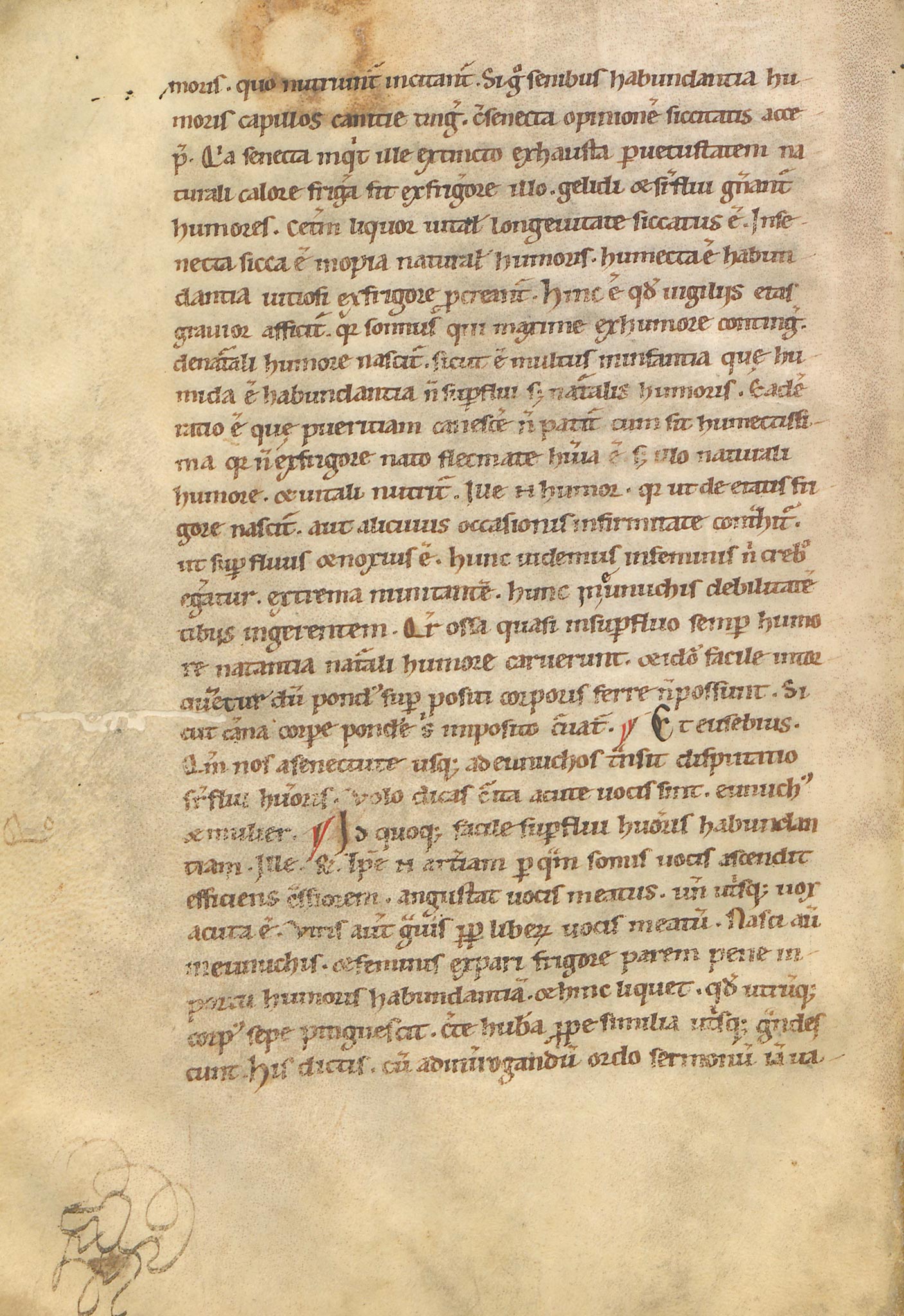 Manuscrit-Saturnales-119v°